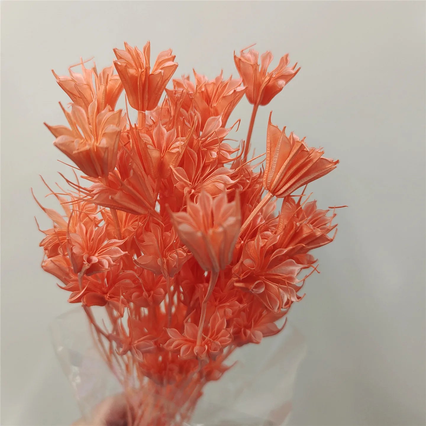 Dried Star Anise, Rustic-Style Floral Arrangements, Handmade DIY Materials, Country-Style Preserved Flowers, Home Decor