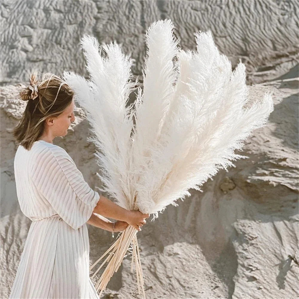 110 - 120cm Large Dried Pampas Grass Plume,Fluffy,Wholesale Boho Home Decor,Natural Real Flower,Wedding Decor,Garden Decoration