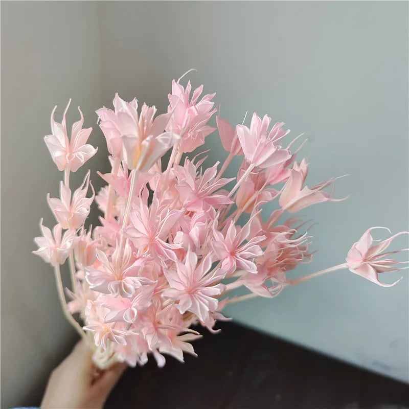 Dried Star Anise, Rustic-Style Floral Arrangements, Handmade DIY Materials, Country-Style Preserved Flowers, Home Decor
