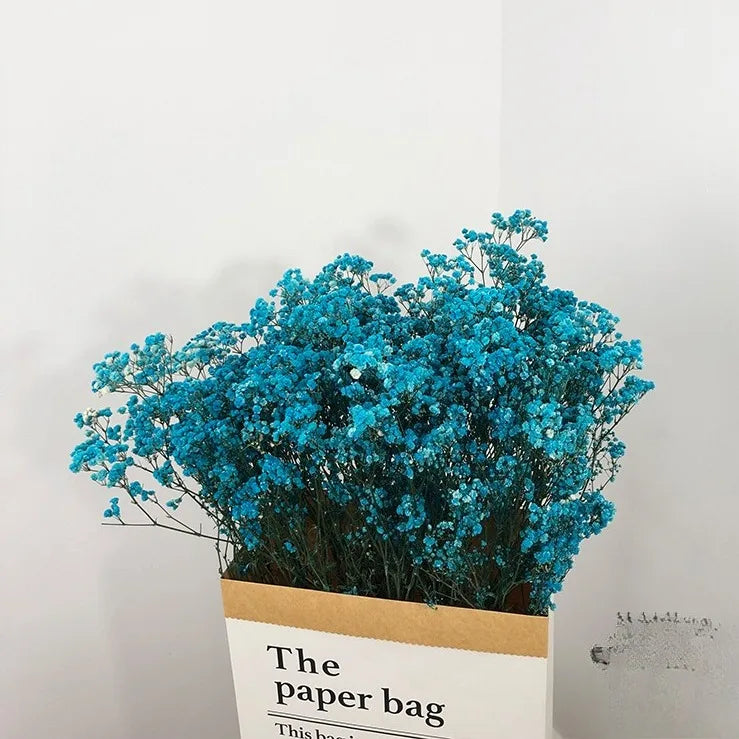 100g Dried Flowers Baby Breath Preserved Flowers Gypsophila Bouquet Boho Home Decor Colorful Gypsophile Wedding Party Decoration