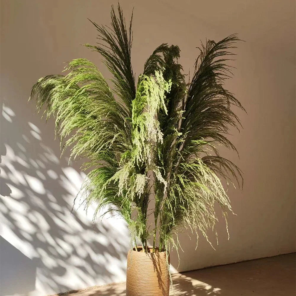 110 - 120cm Large Dried Pampas Grass Plume,Fluffy,Wholesale Boho Home Decor,Natural Real Flower,Wedding Decor,Garden Decoration