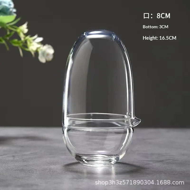 Multi-size Glass Bottle Creativity Dew Collection Glass Vase Micro Landscape Succulent Moss Landscape Glass Terrarium Home Decor