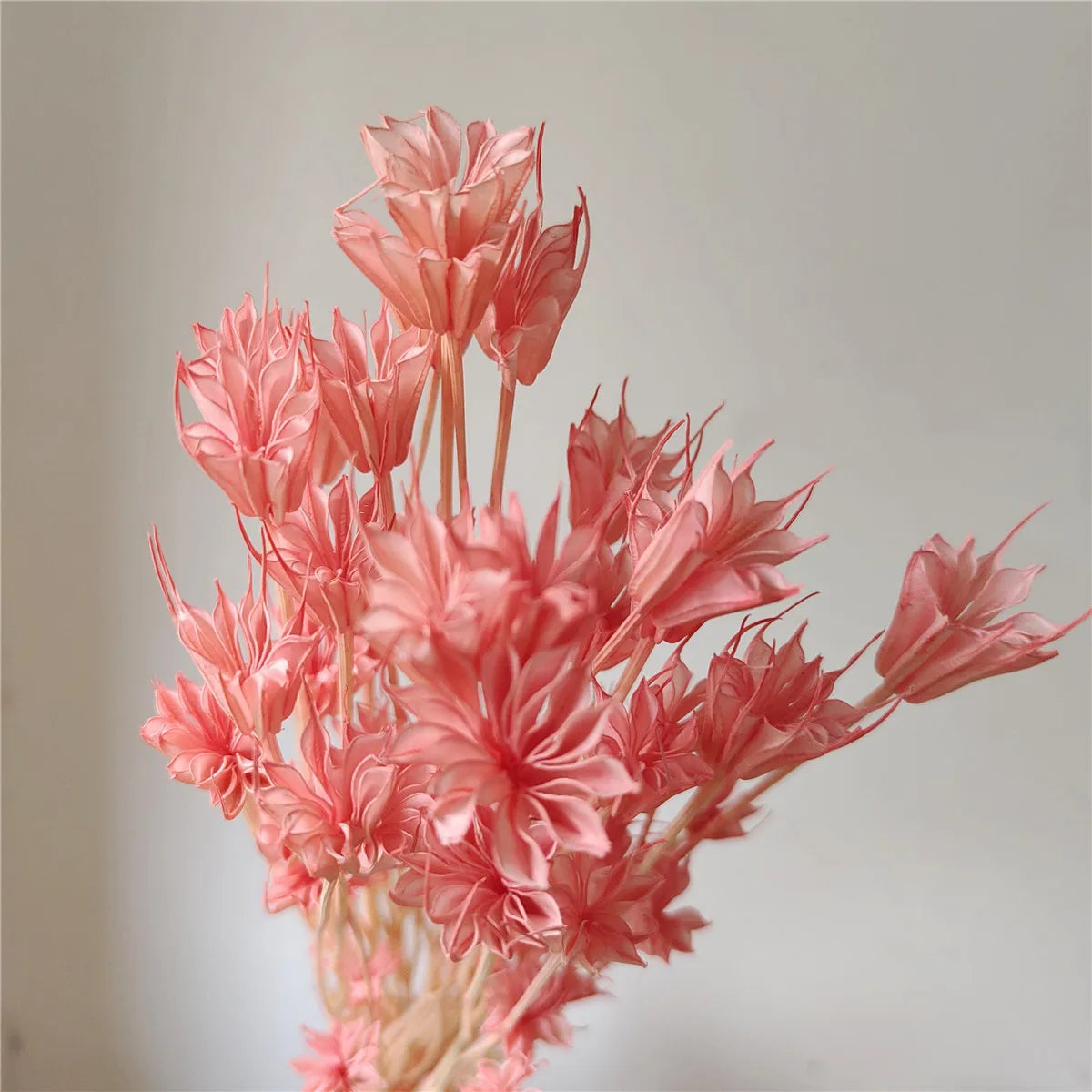 Dried Star Anise, Rustic-Style Floral Arrangements, Handmade DIY Materials, Country-Style Preserved Flowers, Home Decor