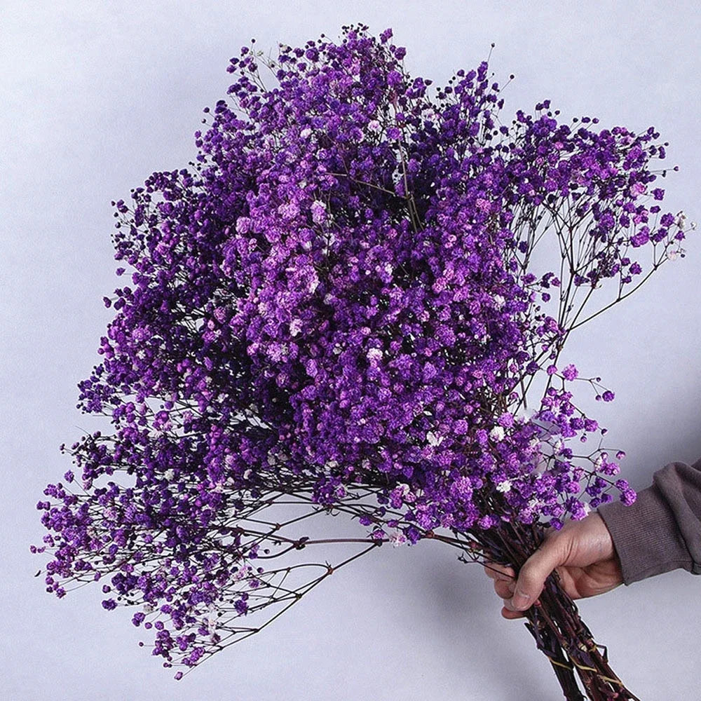 100g Dried Flowers Baby Breath Preserved Flowers Gypsophila Bouquet Boho Home Decor Colorful Gypsophile Wedding Party Decoration