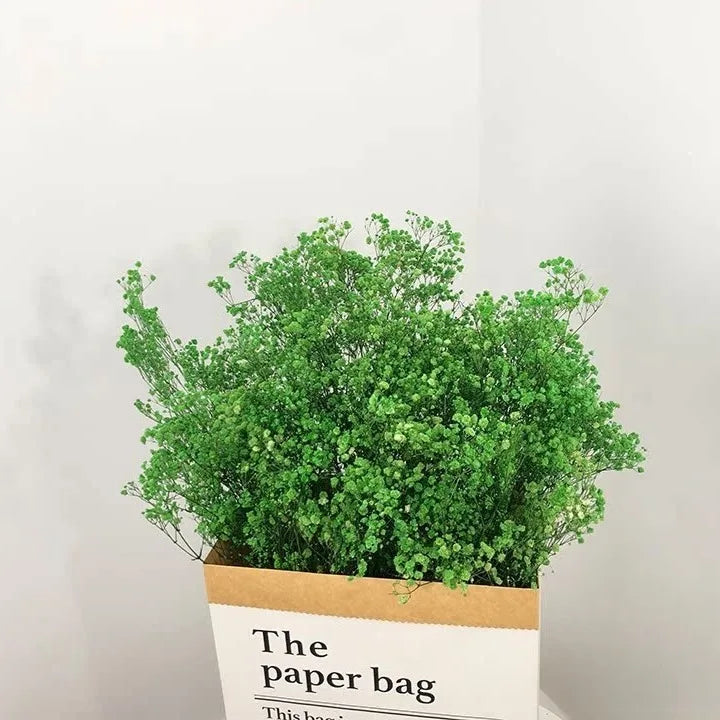 100g Dried Flowers Baby Breath Preserved Flowers Gypsophila Bouquet Boho Home Decor Colorful Gypsophile Wedding Party Decoration
