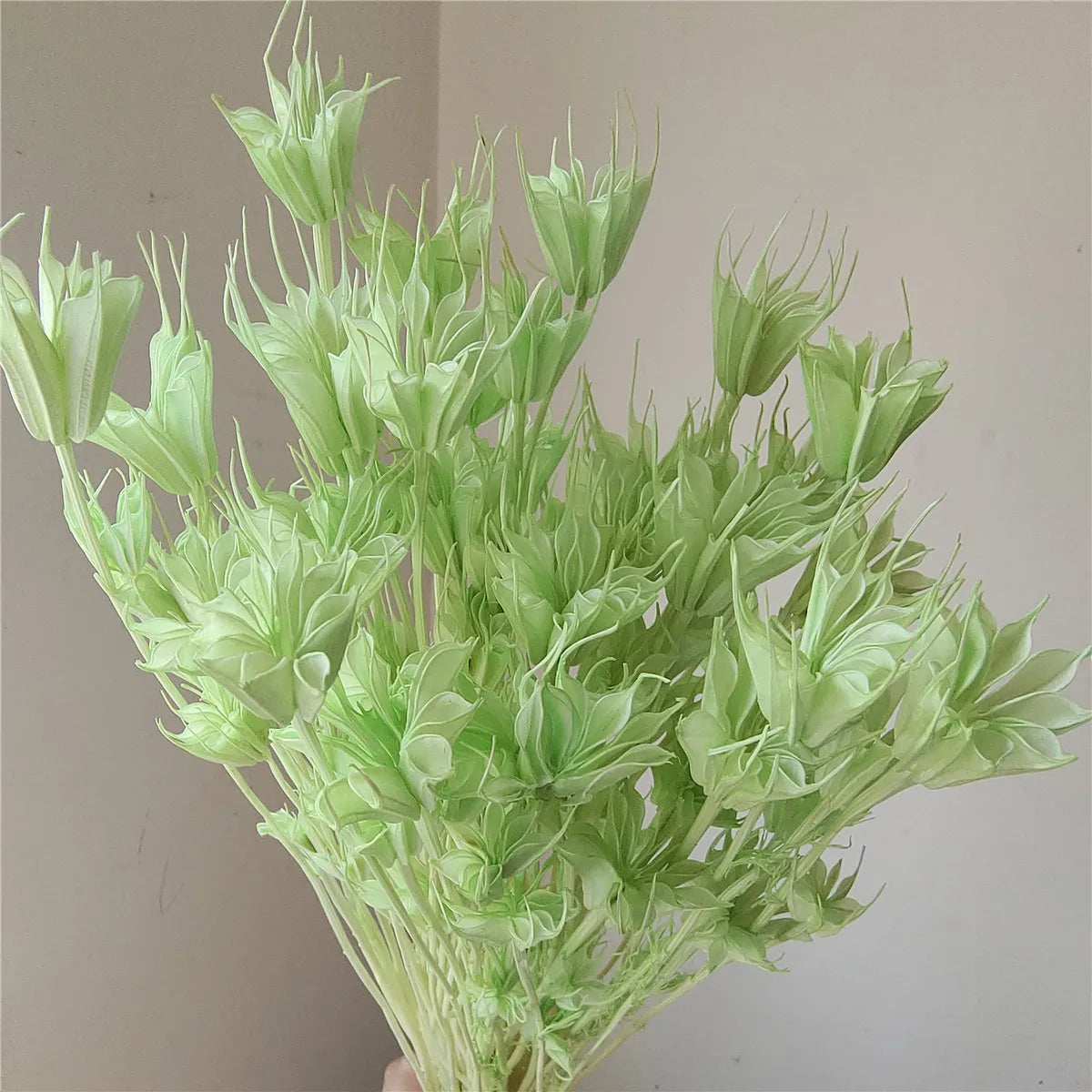 Dried Star Anise, Rustic-Style Floral Arrangements, Handmade DIY Materials, Country-Style Preserved Flowers, Home Decor