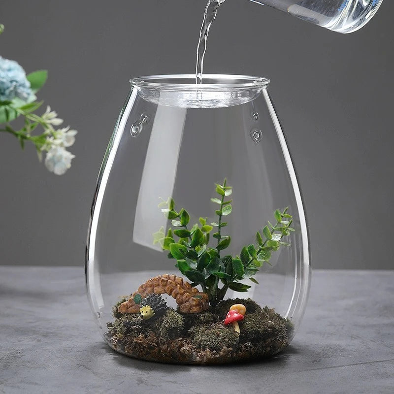 Multi-size Glass Bottle Creativity Dew Collection Glass Vase Micro Landscape Succulent Moss Landscape Glass Terrarium Home Decor