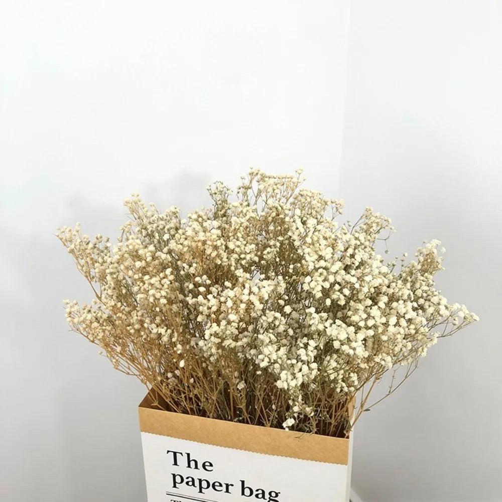 100g Dried Flowers Baby Breath Preserved Flowers Gypsophila Bouquet Boho Home Decor Colorful Gypsophile Wedding Party Decoration