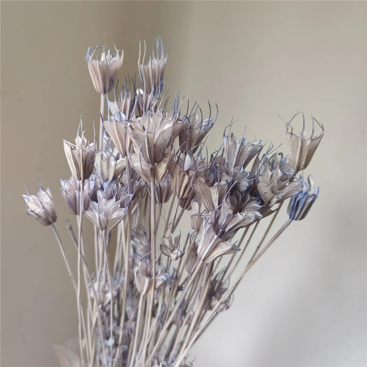 Dried Star Anise, Rustic-Style Floral Arrangements, Handmade DIY Materials, Country-Style Preserved Flowers, Home Decor