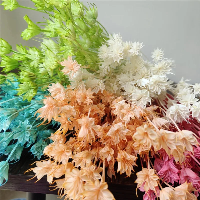 Dried Star Anise, Rustic-Style Floral Arrangements, Handmade DIY Materials, Country-Style Preserved Flowers, Home Decor