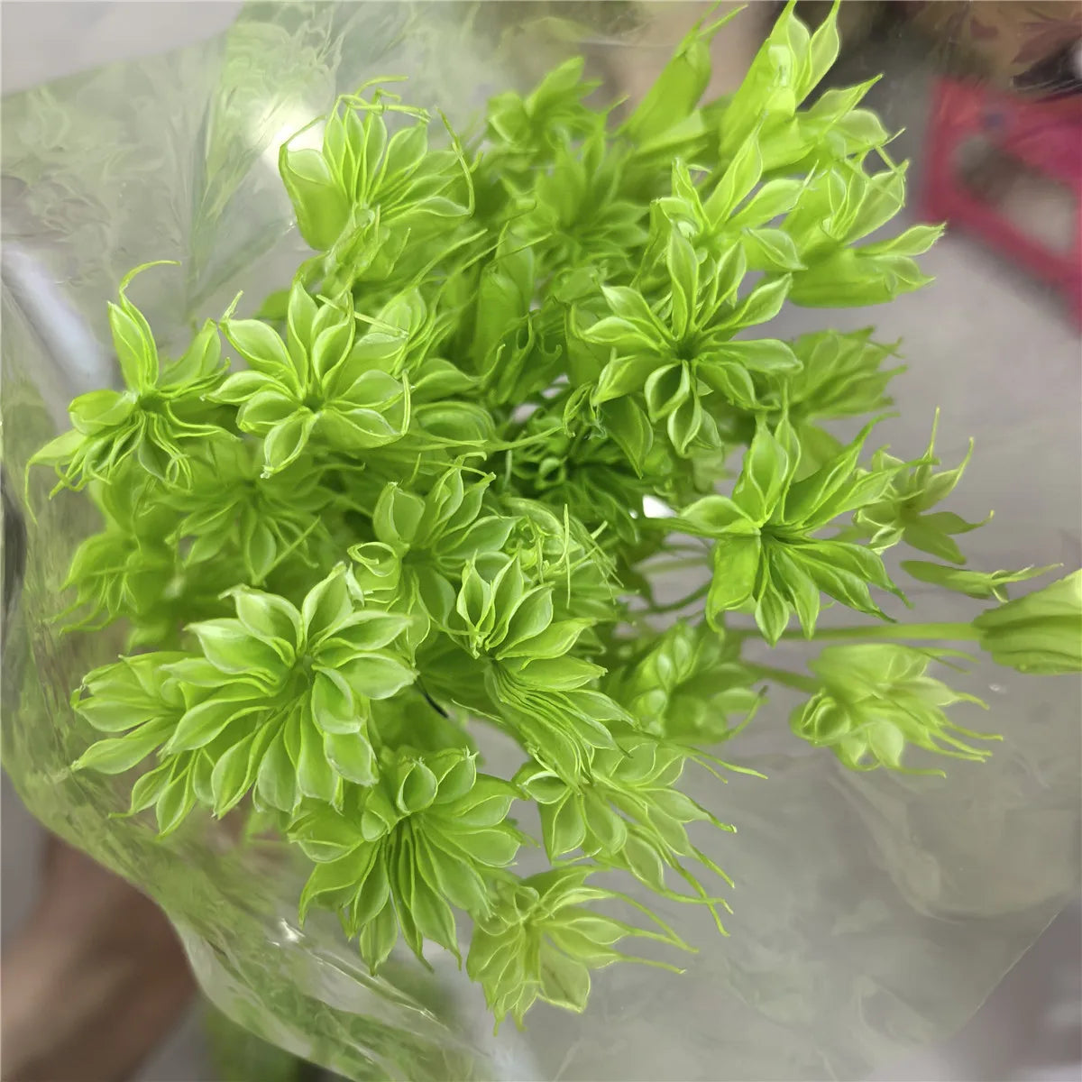 Dried Star Anise, Rustic-Style Floral Arrangements, Handmade DIY Materials, Country-Style Preserved Flowers, Home Decor