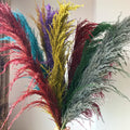 110 - 120cm Large Dried Pampas Grass Plume,Fluffy,Wholesale Boho Home Decor,Natural Real Flower,Wedding Decor,Garden Decoration