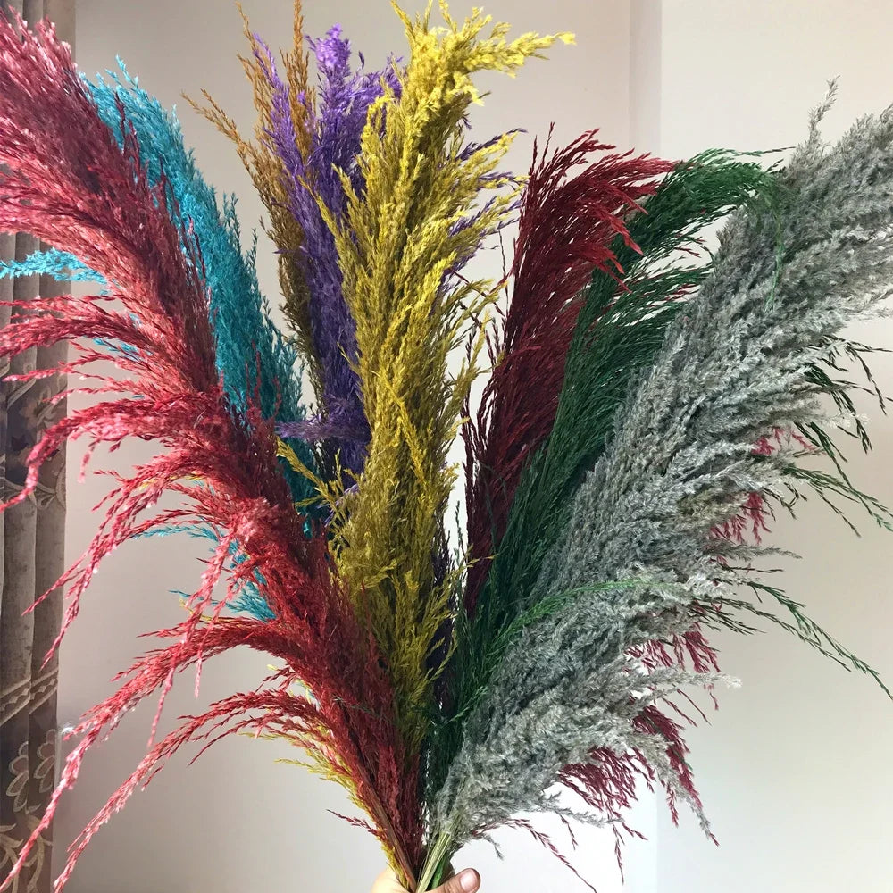 110 - 120cm Large Dried Pampas Grass Plume,Fluffy,Wholesale Boho Home Decor,Natural Real Flower,Wedding Decor,Garden Decoration