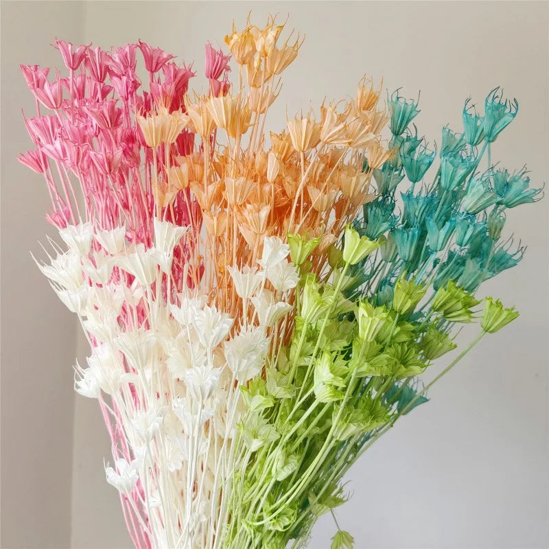 Dried Star Anise, Rustic-Style Floral Arrangements, Handmade DIY Materials, Country-Style Preserved Flowers, Home Decor