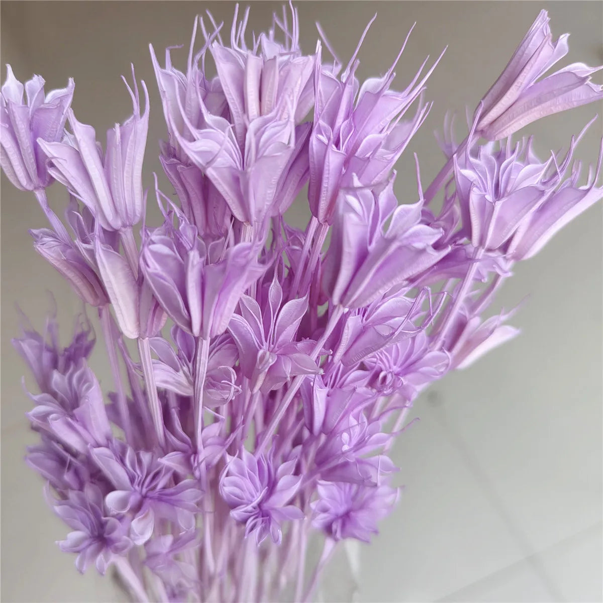 Dried Star Anise, Rustic-Style Floral Arrangements, Handmade DIY Materials, Country-Style Preserved Flowers, Home Decor
