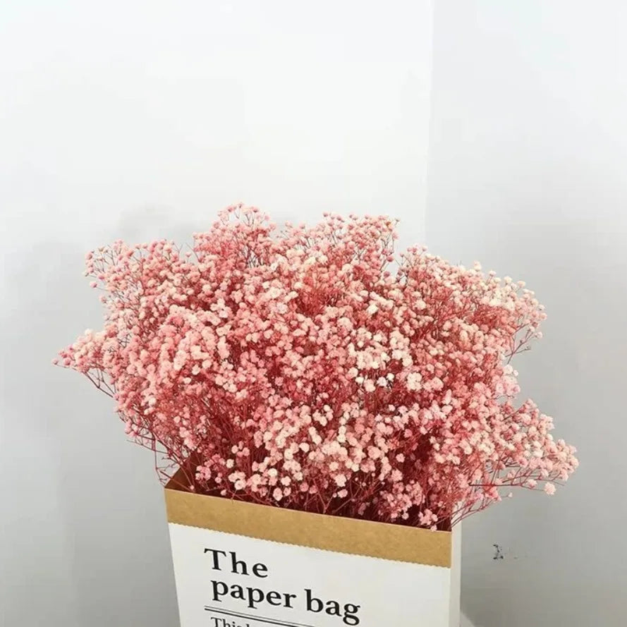 100g Dried Flowers Baby Breath Preserved Flowers Gypsophila Bouquet Boho Home Decor Colorful Gypsophile Wedding Party Decoration