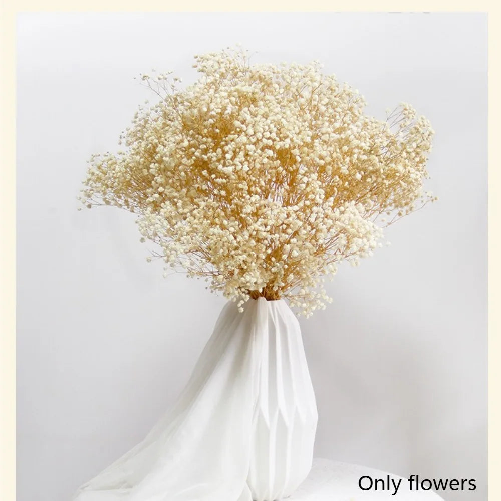 100g Dried Flowers Baby Breath Preserved Flowers Gypsophila Bouquet Boho Home Decor Colorful Gypsophile Wedding Party Decoration