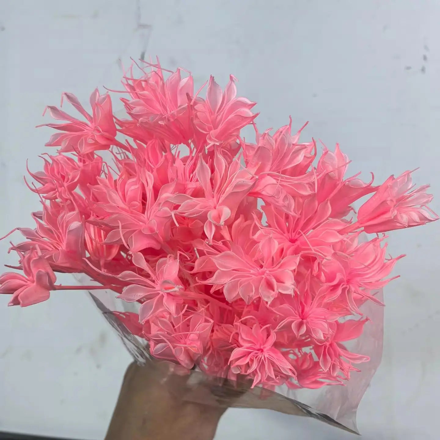 Dried Star Anise, Rustic-Style Floral Arrangements, Handmade DIY Materials, Country-Style Preserved Flowers, Home Decor