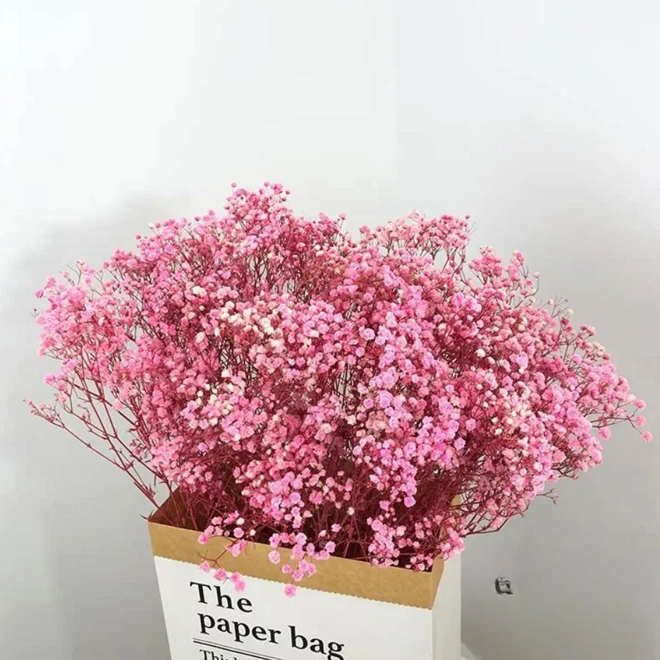 100g Dried Flowers Baby Breath Preserved Flowers Gypsophila Bouquet Boho Home Decor Colorful Gypsophile Wedding Party Decoration