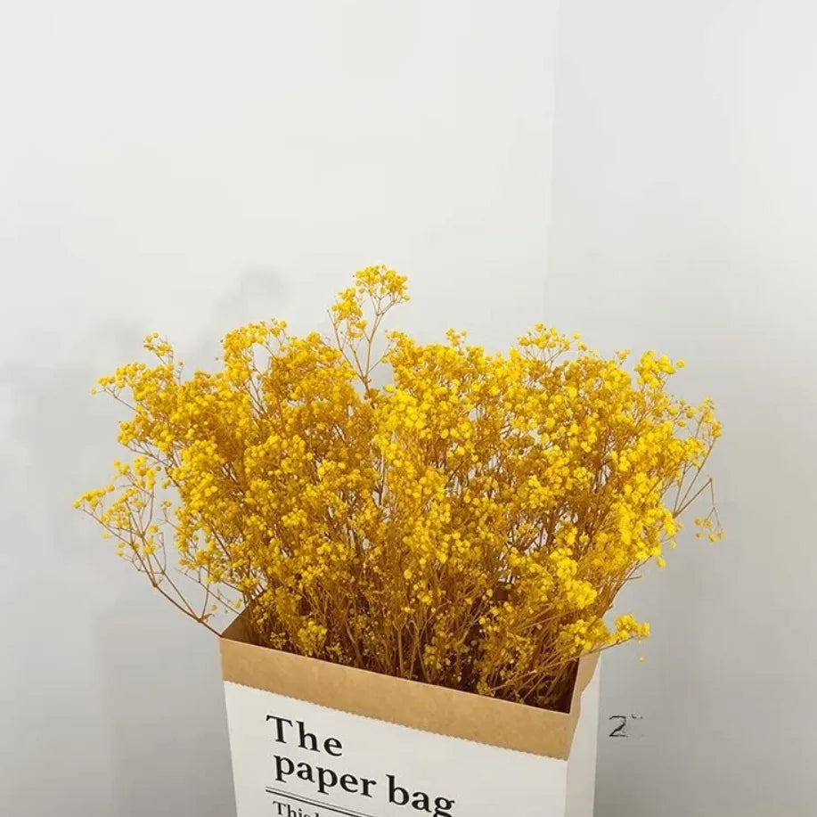 100g Dried Flowers Baby Breath Preserved Flowers Gypsophila Bouquet Boho Home Decor Colorful Gypsophile Wedding Party Decoration