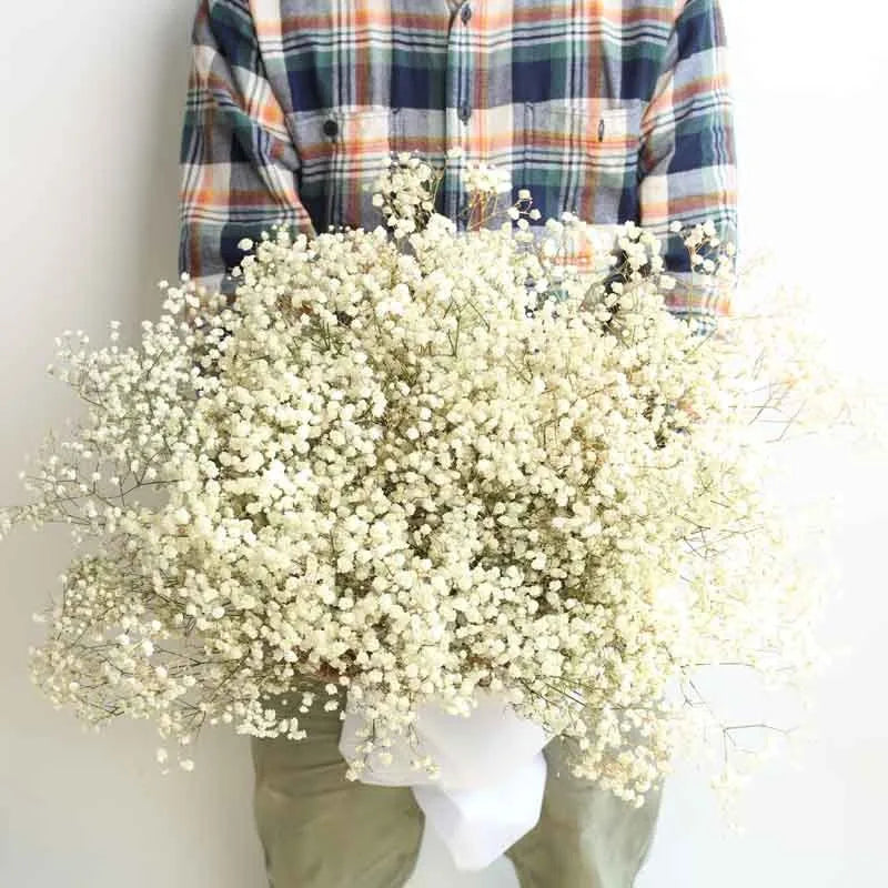 100g Dried Flowers Baby Breath Preserved Flowers Gypsophila Bouquet Boho Home Decor Colorful Gypsophile Wedding Party Decoration