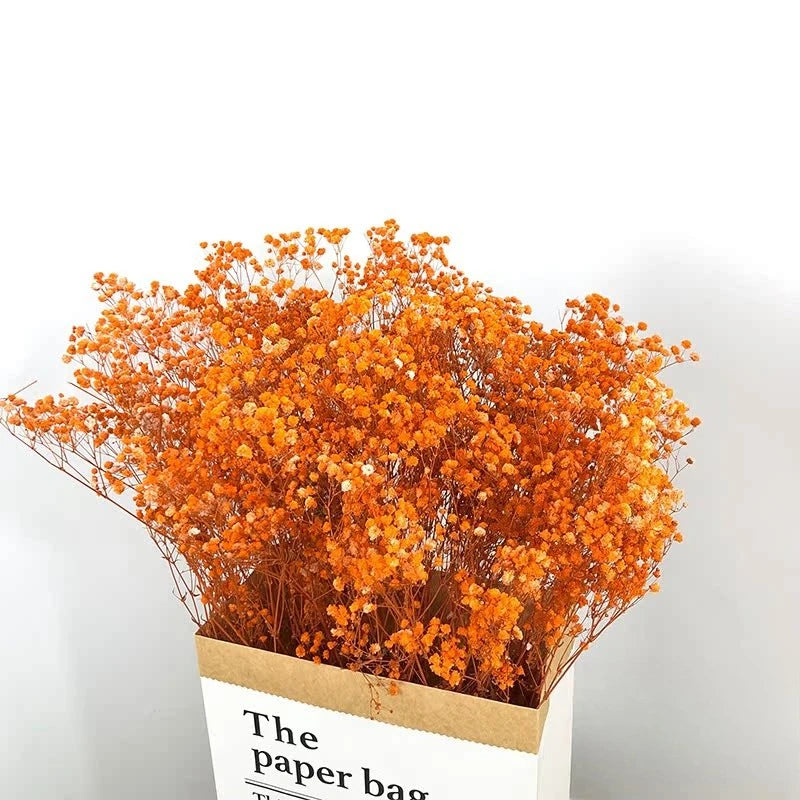 100g Dried Flowers Baby Breath Preserved Flowers Gypsophila Bouquet Boho Home Decor Colorful Gypsophile Wedding Party Decoration