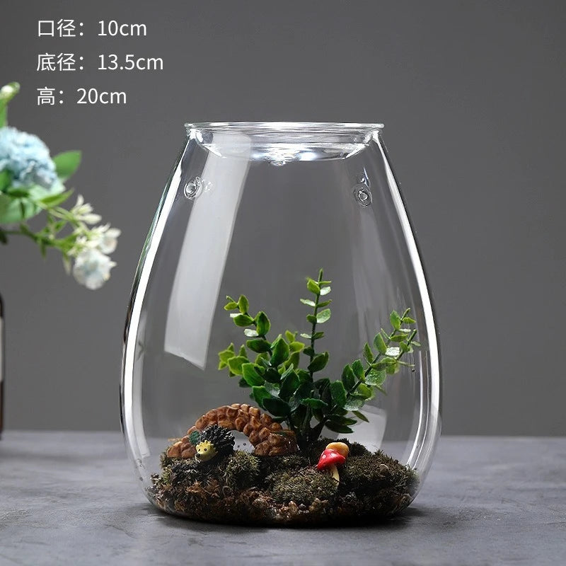 Multi-size Glass Bottle Creativity Dew Collection Glass Vase Micro Landscape Succulent Moss Landscape Glass Terrarium Home Decor