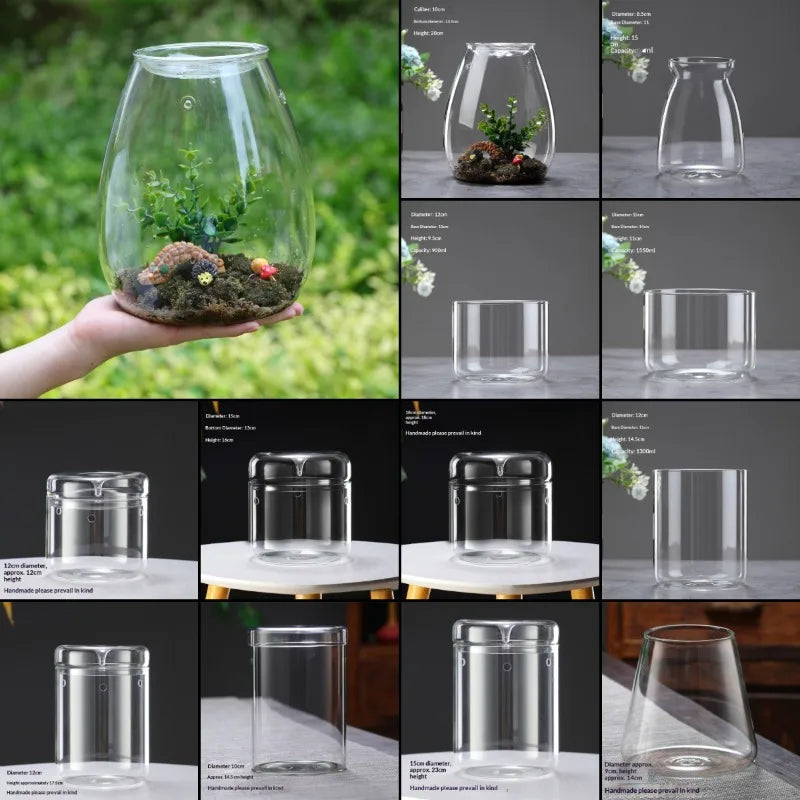 Multi-size Glass Bottle Creativity Dew Collection Glass Vase Micro Landscape Succulent Moss Landscape Glass Terrarium Home Decor