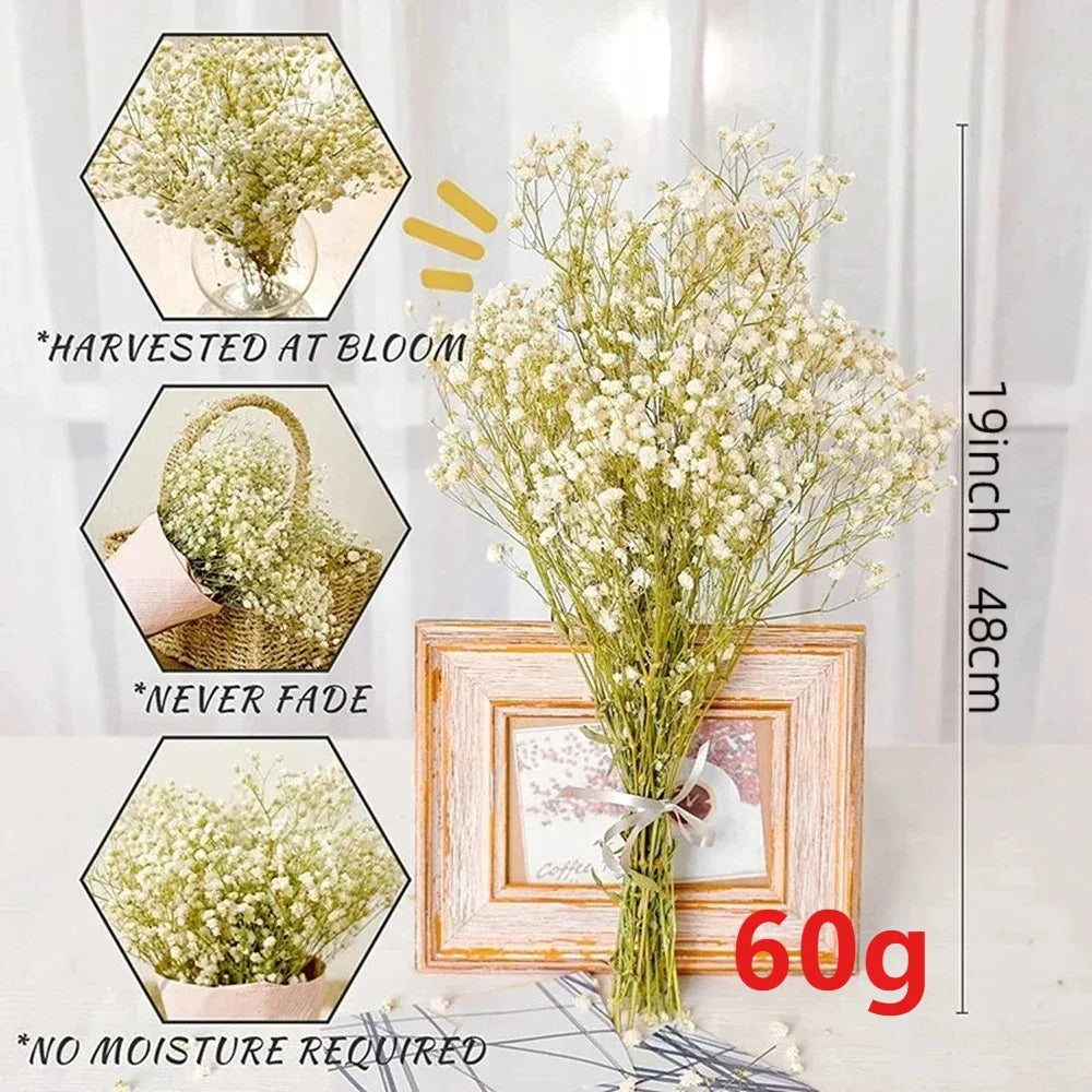 100g Dried Flowers Baby Breath Preserved Flowers Gypsophila Bouquet Boho Home Decor Colorful Gypsophile Wedding Party Decoration