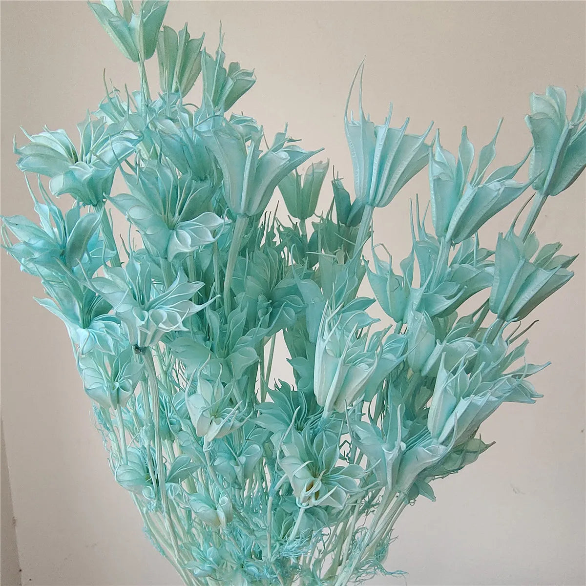 Dried Star Anise, Rustic-Style Floral Arrangements, Handmade DIY Materials, Country-Style Preserved Flowers, Home Decor