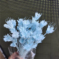 Dried Star Anise, Rustic-Style Floral Arrangements, Handmade DIY Materials, Country-Style Preserved Flowers, Home Decor