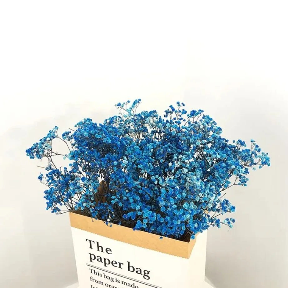 100g Dried Flowers Baby Breath Preserved Flowers Gypsophila Bouquet Boho Home Decor Colorful Gypsophile Wedding Party Decoration