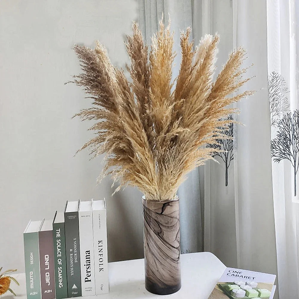 110 - 120cm Large Dried Pampas Grass Plume,Fluffy,Wholesale Boho Home Decor,Natural Real Flower,Wedding Decor,Garden Decoration