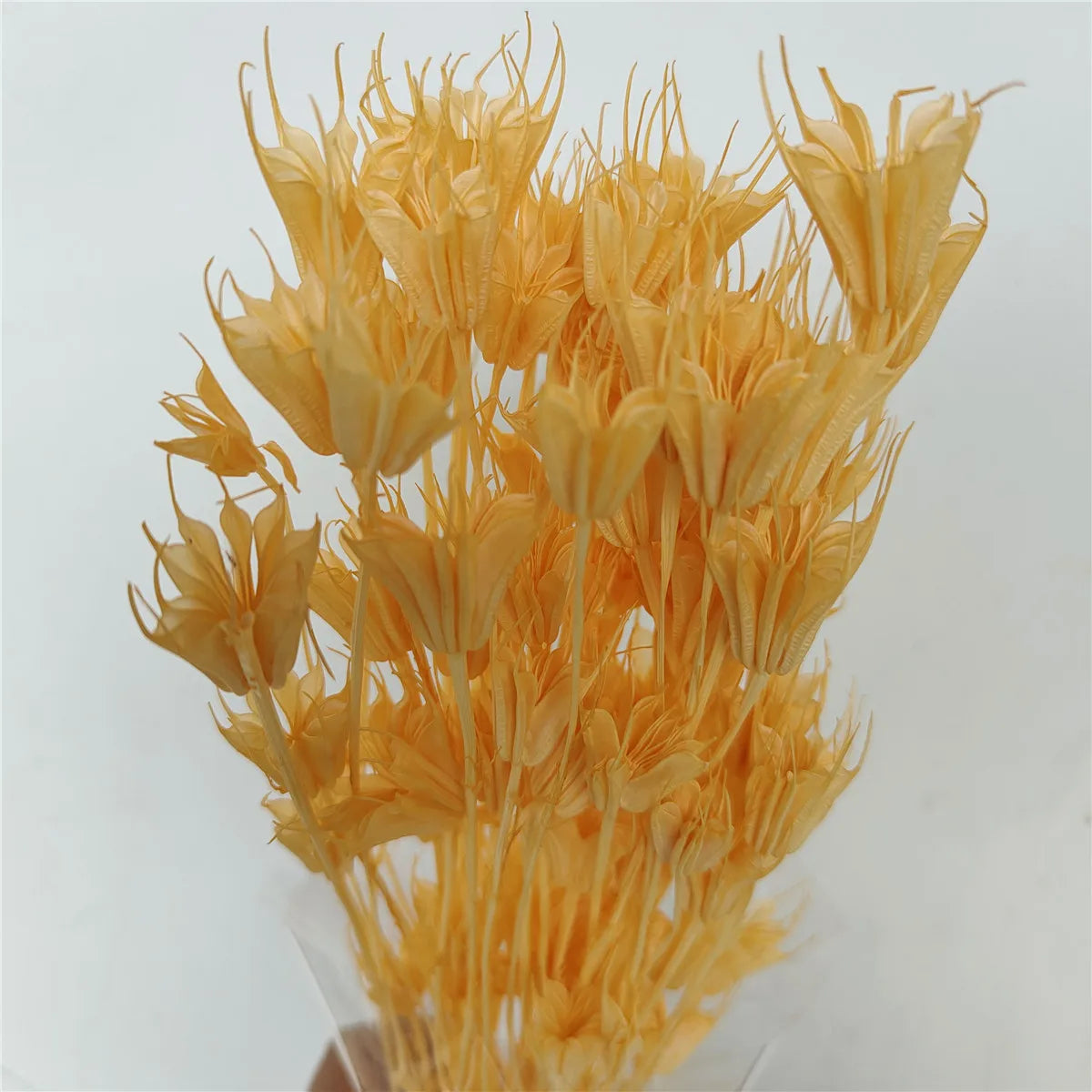 Dried Star Anise, Rustic-Style Floral Arrangements, Handmade DIY Materials, Country-Style Preserved Flowers, Home Decor