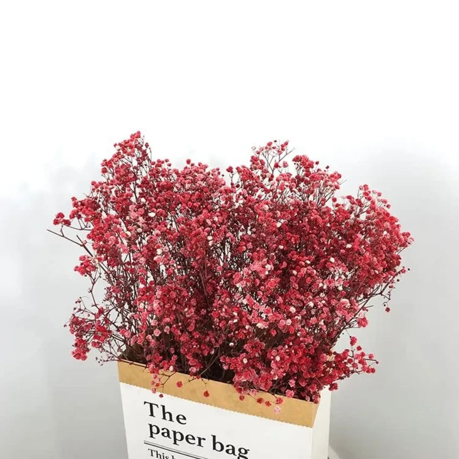 100g Dried Flowers Baby Breath Preserved Flowers Gypsophila Bouquet Boho Home Decor Colorful Gypsophile Wedding Party Decoration