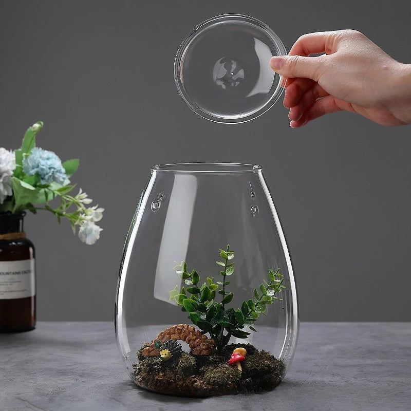Multi-size Glass Bottle Creativity Dew Collection Glass Vase Micro Landscape Succulent Moss Landscape Glass Terrarium Home Decor