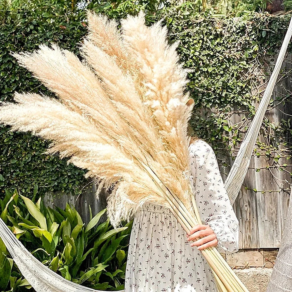 110 - 120cm Large Dried Pampas Grass Plume,Fluffy,Wholesale Boho Home Decor,Natural Real Flower,Wedding Decor,Garden Decoration