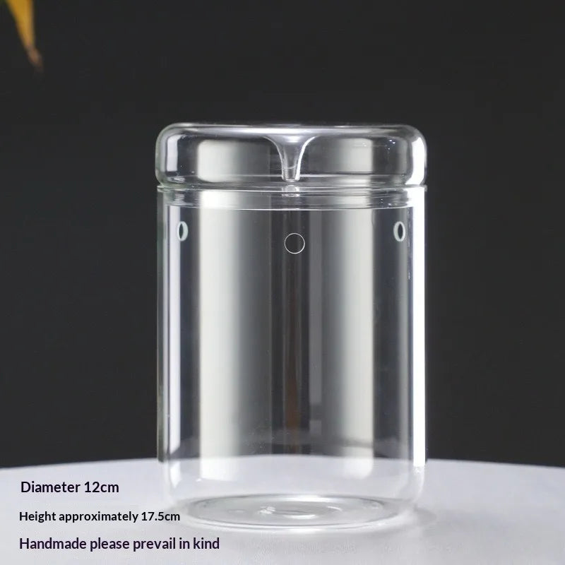 Multi-size Glass Bottle Creativity Dew Collection Glass Vase Micro Landscape Succulent Moss Landscape Glass Terrarium Home Decor