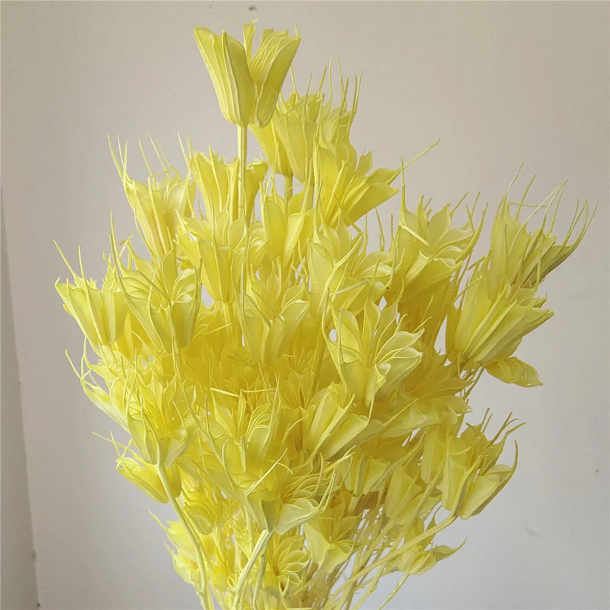 Dried Star Anise, Rustic-Style Floral Arrangements, Handmade DIY Materials, Country-Style Preserved Flowers, Home Decor