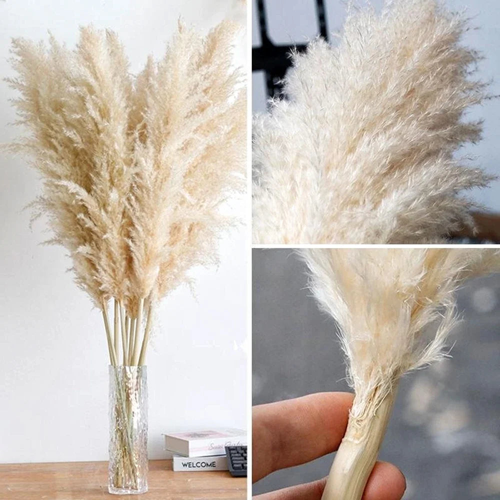 110 - 120cm Large Dried Pampas Grass Plume,Fluffy,Wholesale Boho Home Decor,Natural Real Flower,Wedding Decor,Garden Decoration