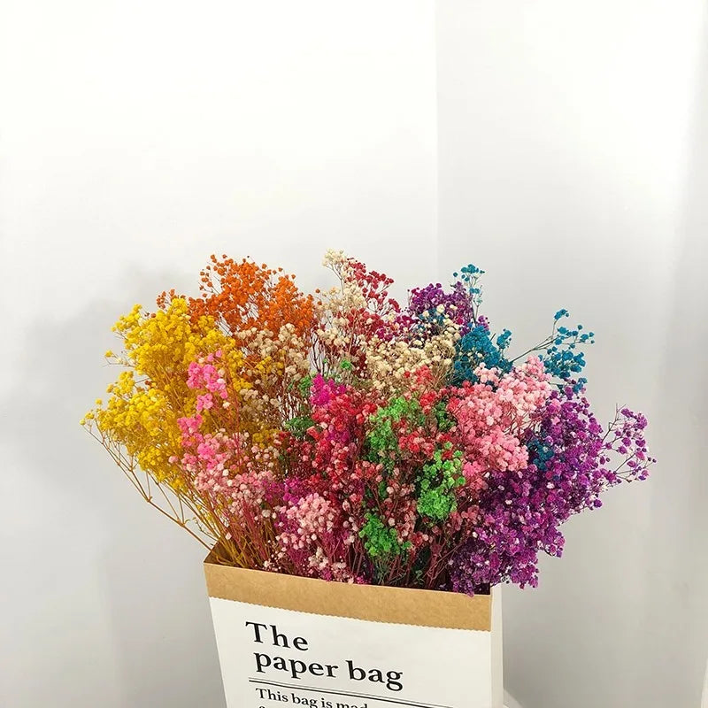 100g Dried Flowers Baby Breath Preserved Flowers Gypsophila Bouquet Boho Home Decor Colorful Gypsophile Wedding Party Decoration