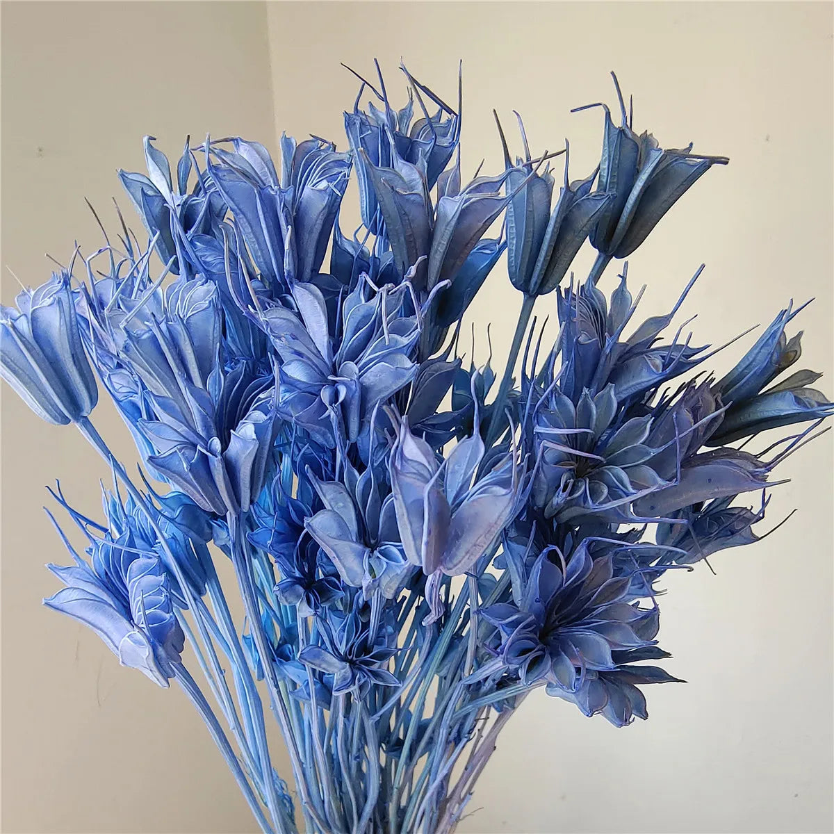 Dried Star Anise, Rustic-Style Floral Arrangements, Handmade DIY Materials, Country-Style Preserved Flowers, Home Decor