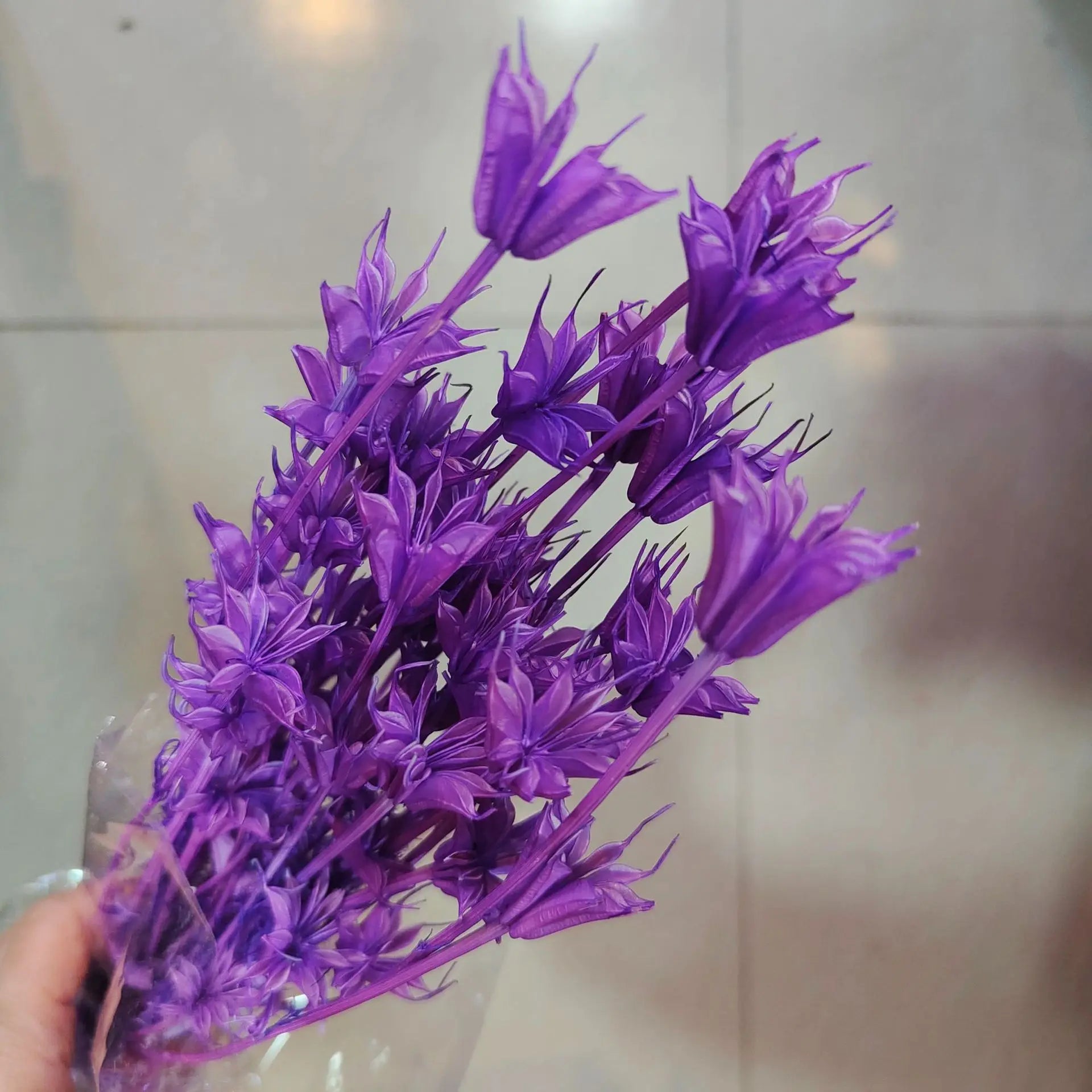 Dried Star Anise, Rustic-Style Floral Arrangements, Handmade DIY Materials, Country-Style Preserved Flowers, Home Decor