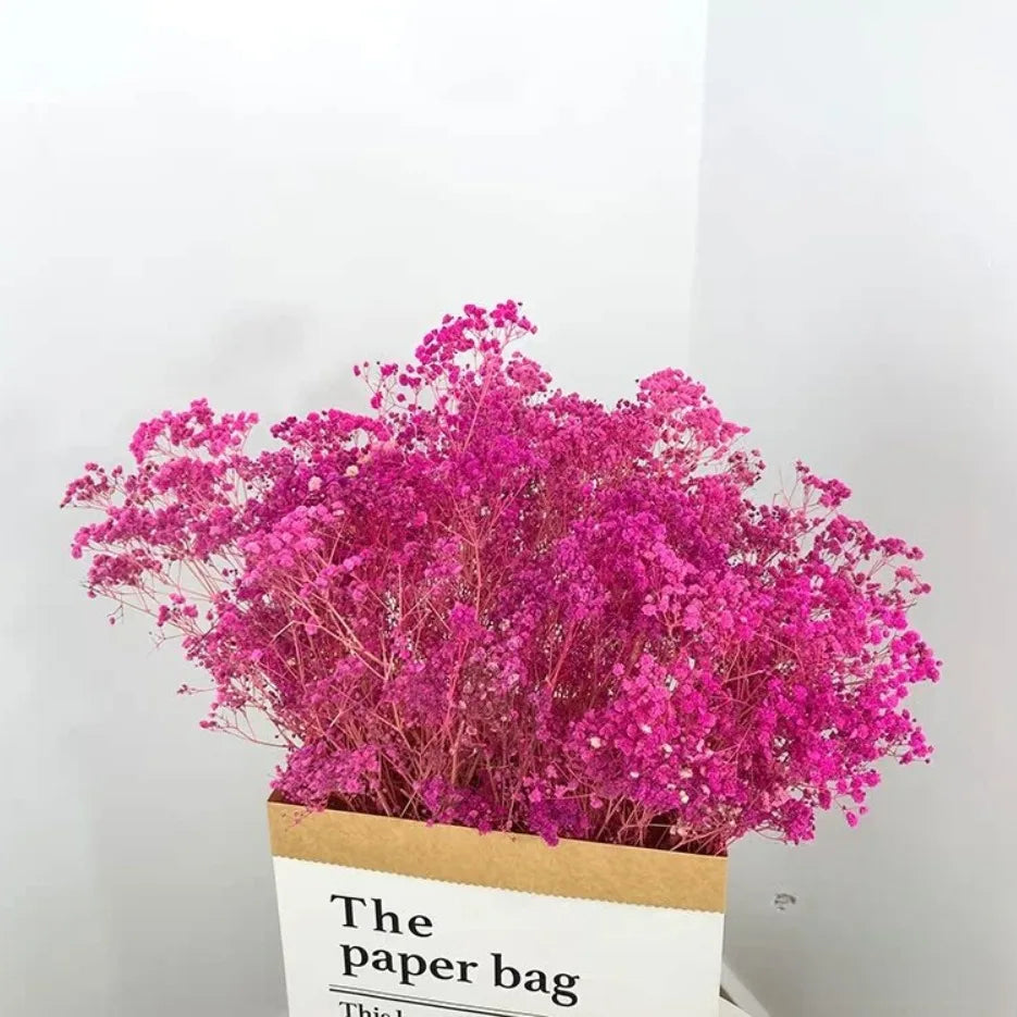 100g Dried Flowers Baby Breath Preserved Flowers Gypsophila Bouquet Boho Home Decor Colorful Gypsophile Wedding Party Decoration