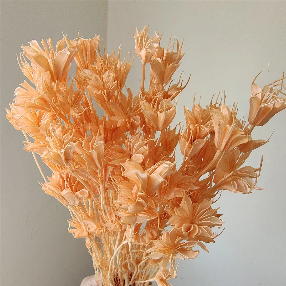 Dried Star Anise, Rustic-Style Floral Arrangements, Handmade DIY Materials, Country-Style Preserved Flowers, Home Decor