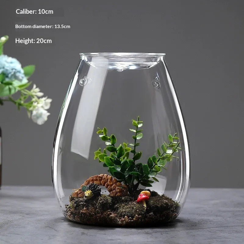 Multi-size Glass Bottle Creativity Dew Collection Glass Vase Micro Landscape Succulent Moss Landscape Glass Terrarium Home Decor