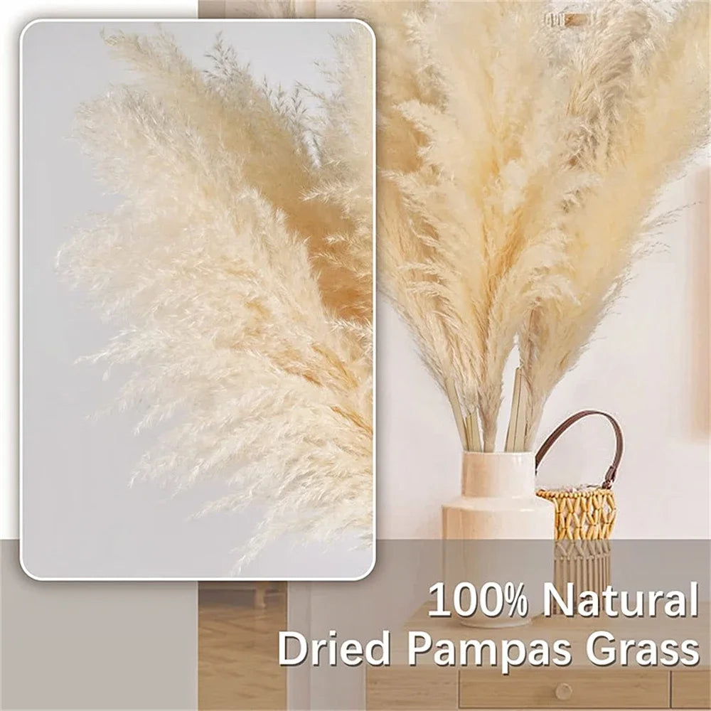 110 - 120cm Large Dried Pampas Grass Plume,Fluffy,Wholesale Boho Home Decor,Natural Real Flower,Wedding Decor,Garden Decoration