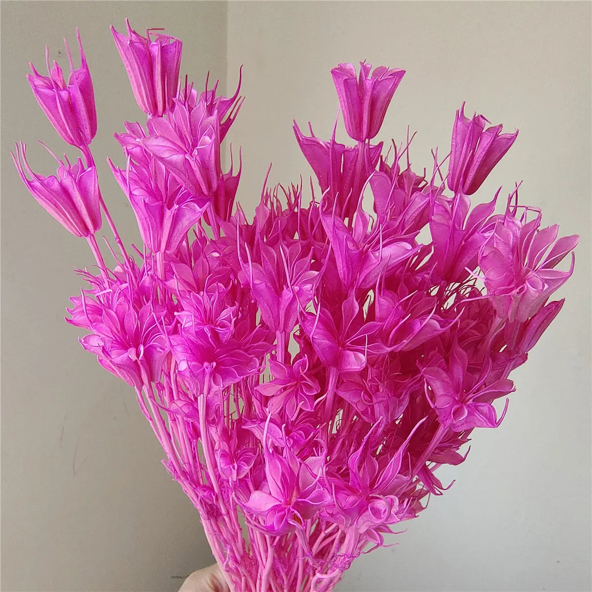 Dried Star Anise, Rustic-Style Floral Arrangements, Handmade DIY Materials, Country-Style Preserved Flowers, Home Decor
