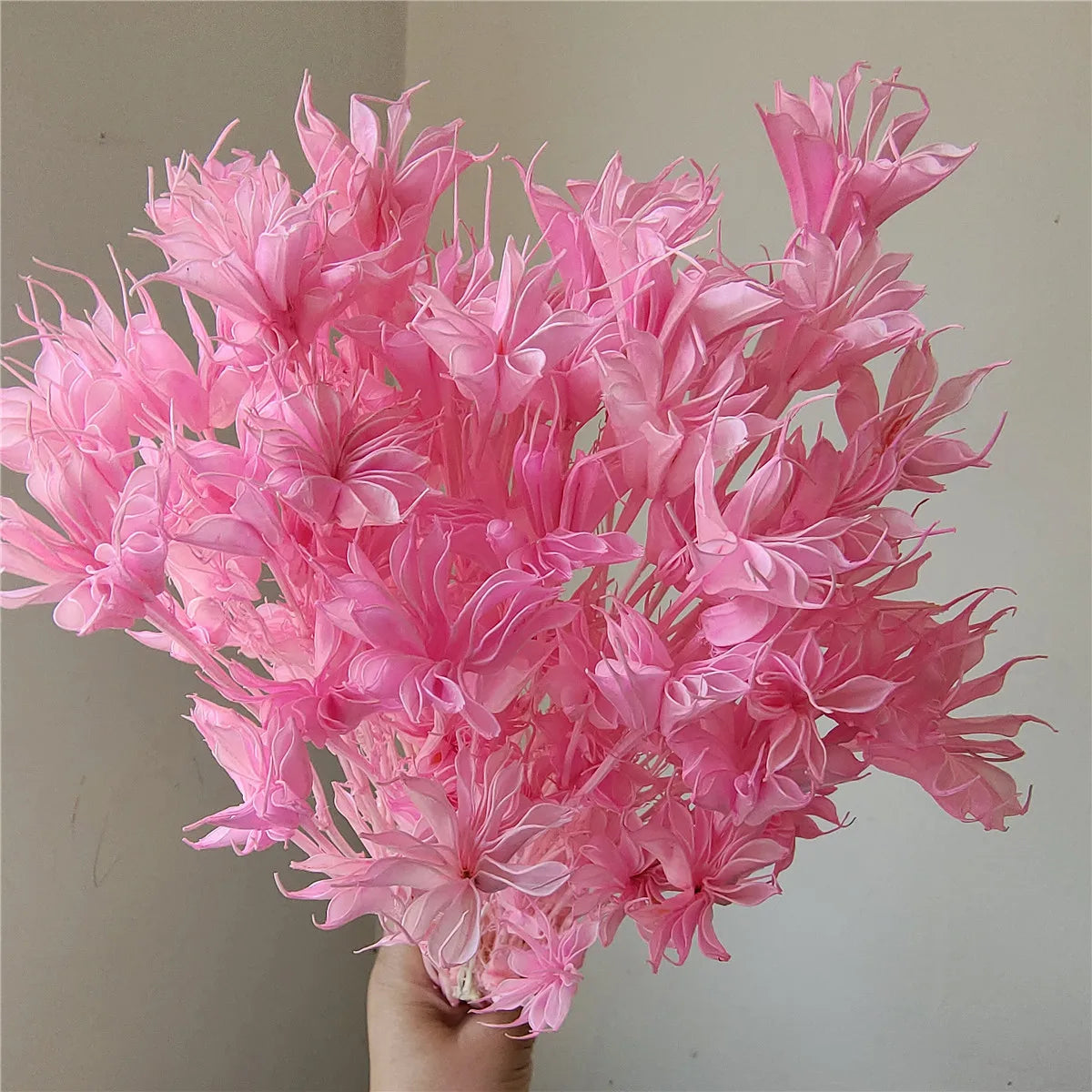 Dried Star Anise, Rustic-Style Floral Arrangements, Handmade DIY Materials, Country-Style Preserved Flowers, Home Decor