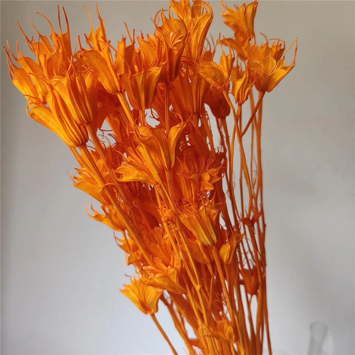 Dried Star Anise, Rustic-Style Floral Arrangements, Handmade DIY Materials, Country-Style Preserved Flowers, Home Decor